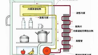 电冰箱的工作原理_电冰箱的工作原理是什么