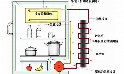 电冰箱的工作原理_电冰箱的工作原理是什么